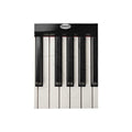 Piano Keys Throw Blanket